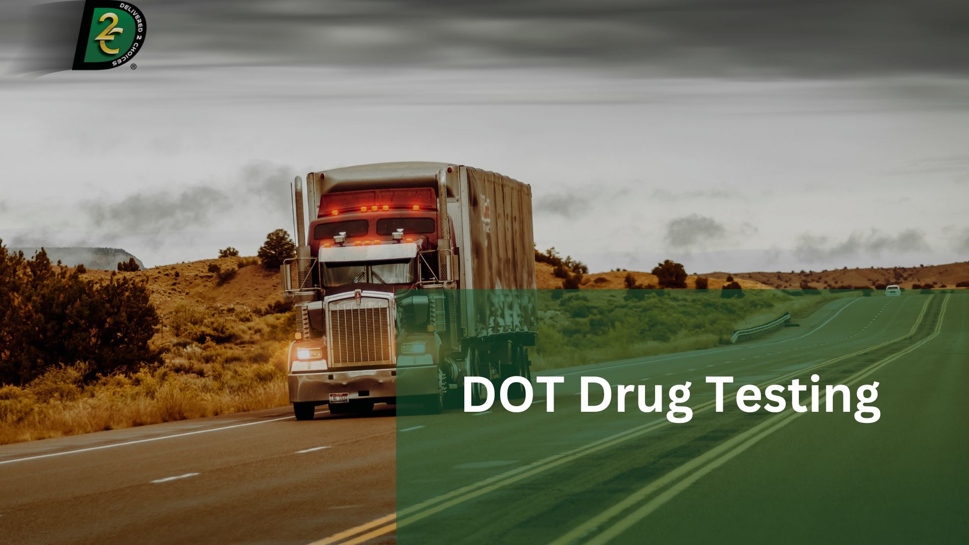 Substance Abuse Professionals